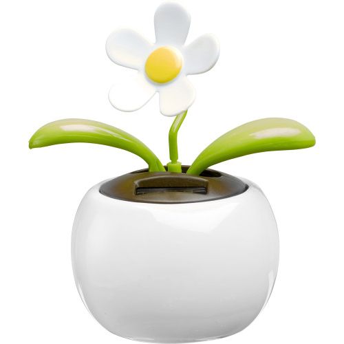Fleur solaire . Fleur solaire .